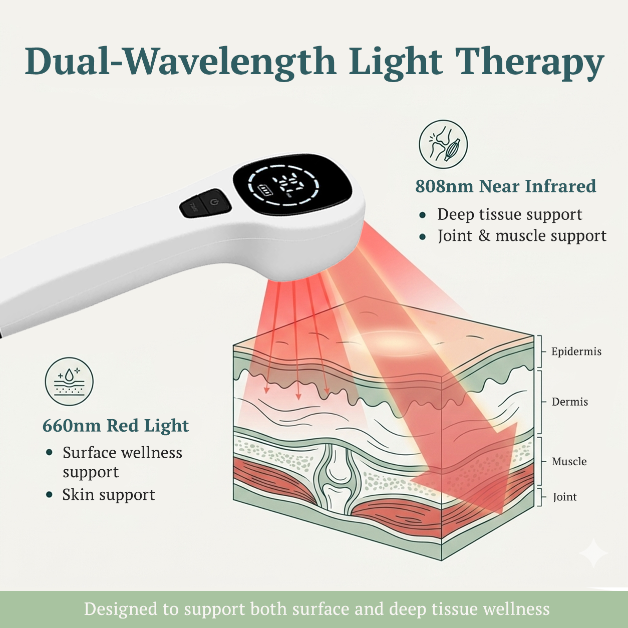 PawRestore Red Light Therapy Wand™