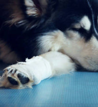 Recovery Support